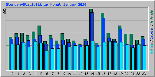 Stunden-Statistik im Monat Januar 2026