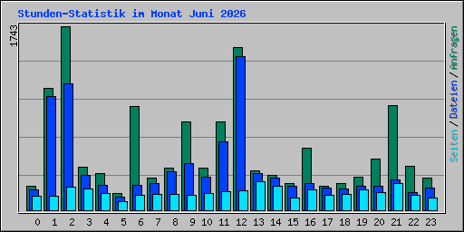 Stunden-Statistik im Monat Juni 2026