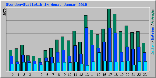 Stunden-Statistik im Monat Januar 2019
