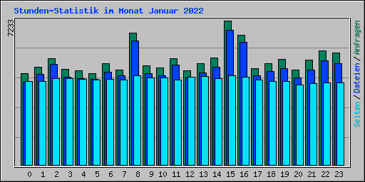 Stunden-Statistik im Monat Januar 2022