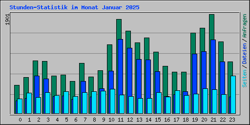 Stunden-Statistik im Monat Januar 2025