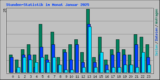 Stunden-Statistik im Monat Januar 2025