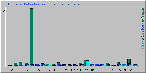 Stunden-Statistik im Monat Januar 2026