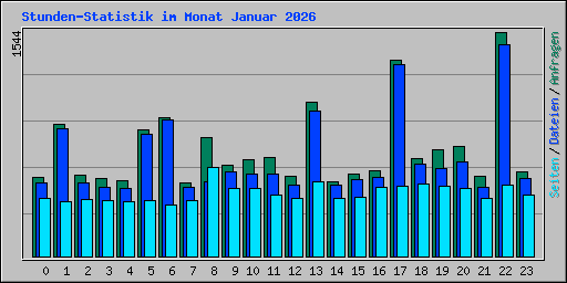 Stunden-Statistik im Monat Januar 2026
